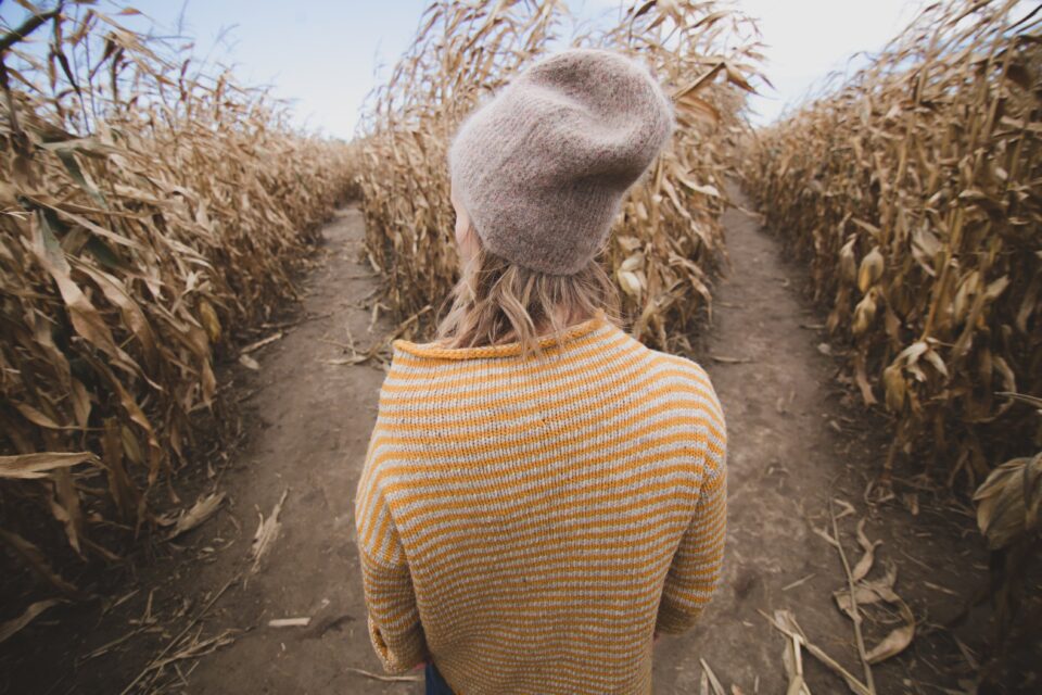 Fall