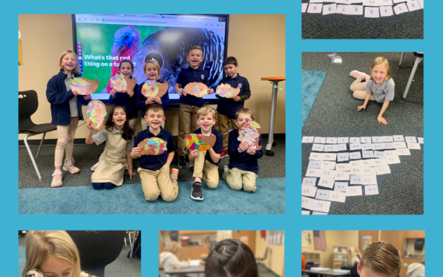 Newsletter